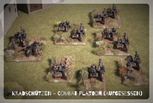 KS-CP01.jpg